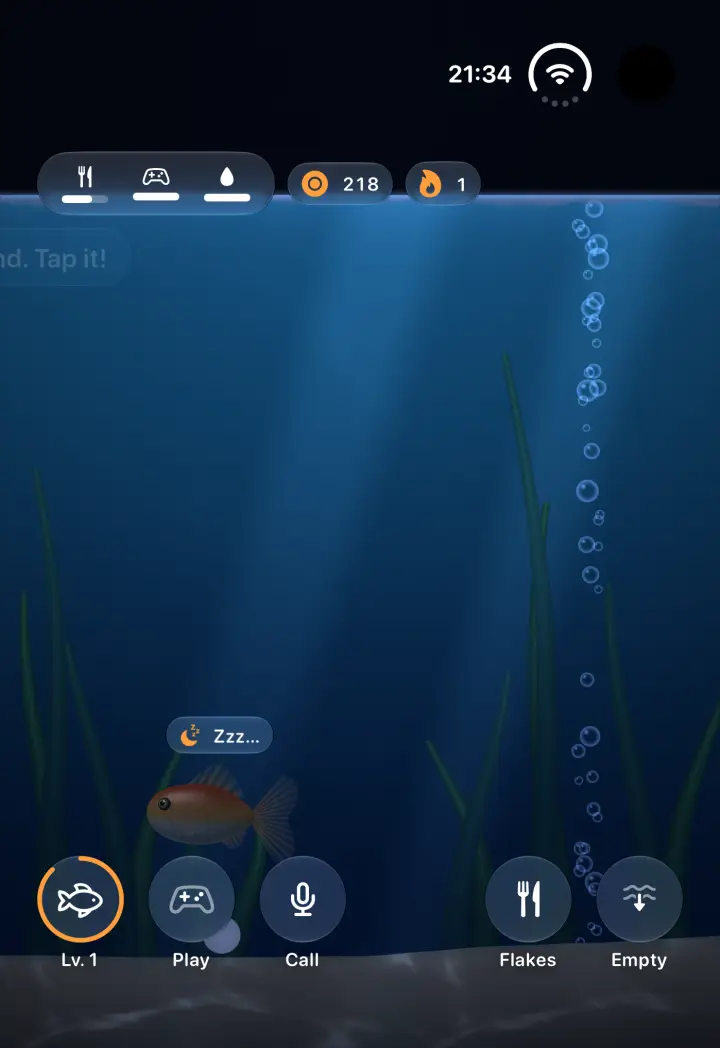 The aquarium at night with the fish asleep.