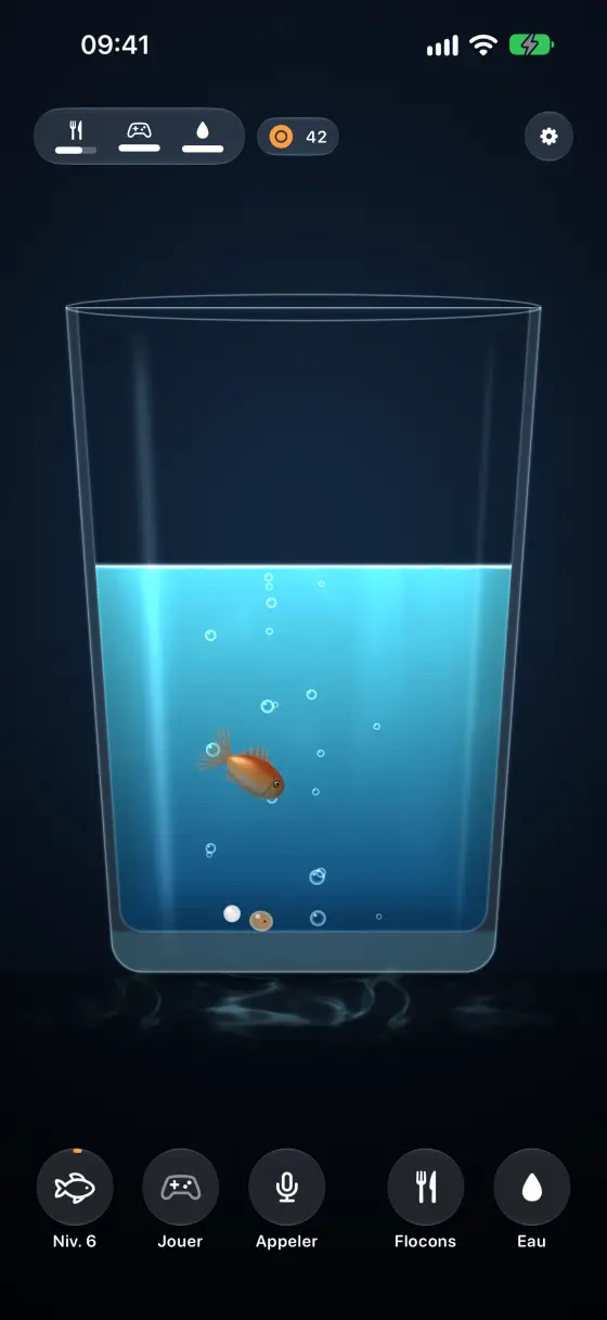 Tout iPhone